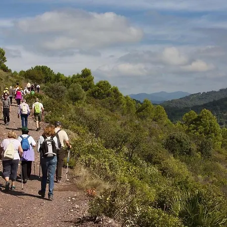 Al4-2011 - - Alcazaba Lagoon * Estepona